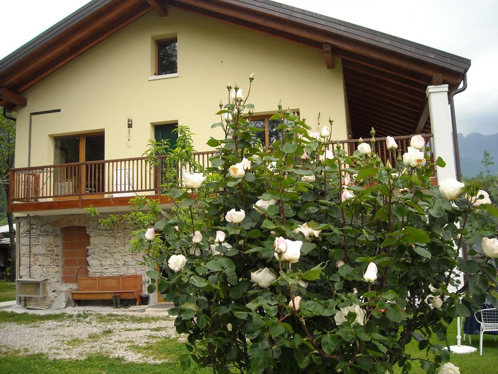 Agriturismo Il Girasole Feltre Exteriér fotografie
