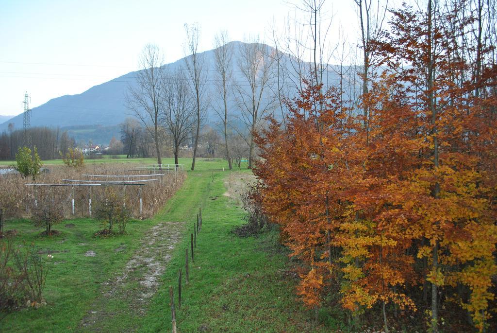Agriturismo Il Girasole Feltre Exteriér fotografie