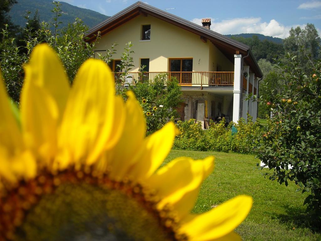 Agriturismo Il Girasole Feltre Exteriér fotografie